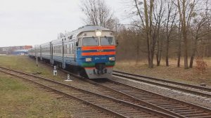 ДР1А-313/136 (БЧ, ТЧ-7 Брест) рейсом №6383 Брест - Высоко-Литовск