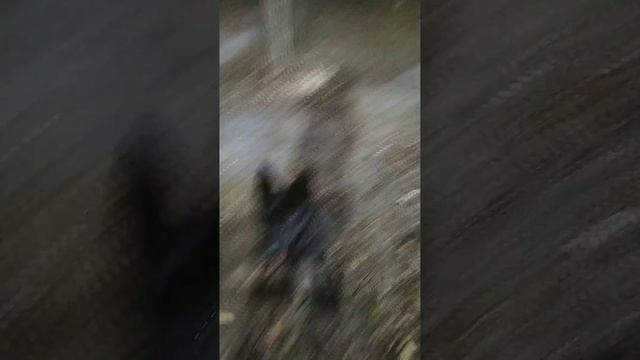 VID-20241107-WA0024 смотреть онлайн