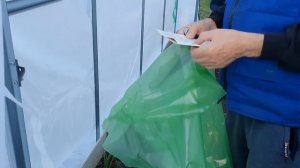 Дачные заботы. Готовим теплицу к урожайному сезону. Новый тент на Чудотеплицу Сибирский агроном