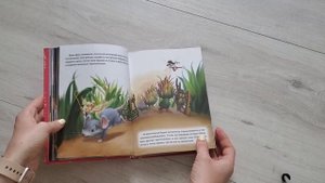 Книги Дисней. Книги для девочек о принцессах.