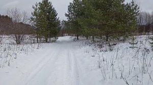 Я по первому снегу иду.