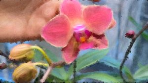 Орхоновости, болталка