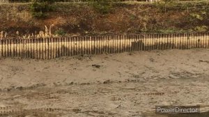 По мимо рыбалки у всех свои наблюдения😁