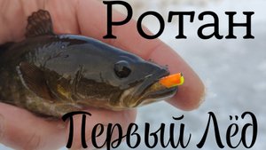 Ротан по Первому Льду.
