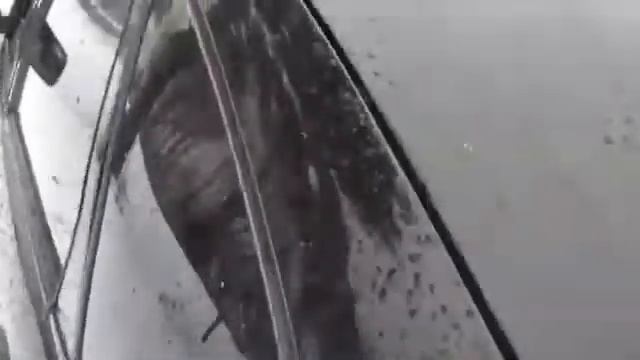 Автозвук Болезнь. ⬇⬇Подписывайтесь на мой канал!