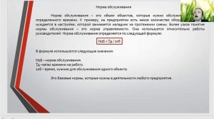 Организация и нормирование труда