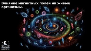 Влияние магнитных полей на живые организмы.