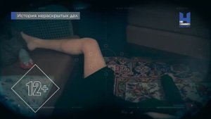 Заставки и анонсы (Viasat Nature\History, 17.02.2022)