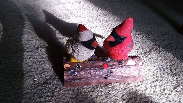 Singing Cardinal Couple (knockoff version) (HQ song audio) смотреть онлайн