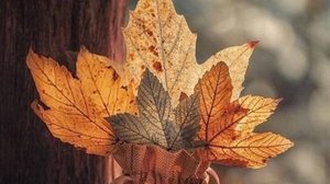 Семейные истории - Неожиданный мир домохозяйки...