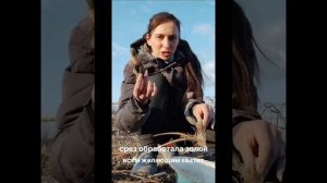 ЭРЕМУРУС посадка и деление куста без ошибок.#делениекуста #эремурус