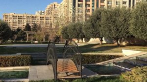 Солнечный день в Баку, конец декабря/ Sunny day in Baku, end of December