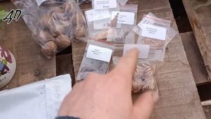 Новый проект - питомник!