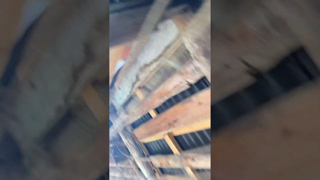 стропильная система двускатной крыши