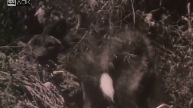 физики шутят дошутились смотреть онлайн