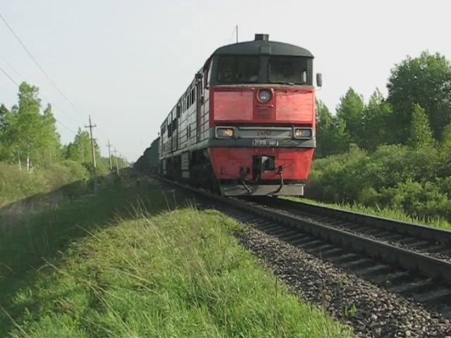 2ТЭ116-687 (РЖД/Окт, ТЧ-18 Дно) с грузовым поездом