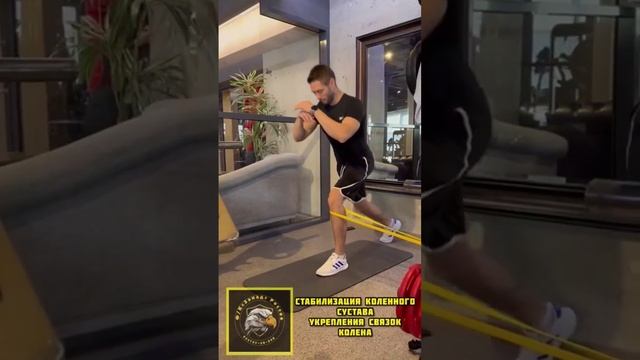 Стабилизация коленного сустава. Укрепление связок колена