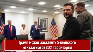 Трамп может заставить Зеленского отказаться от 20% территории РТ