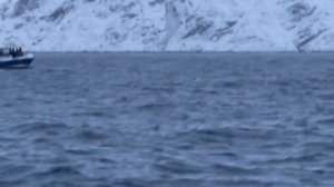 МУРМАНСК | киты, северное сияние, Териберка