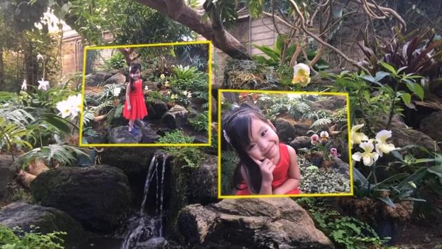 LA arboreturn & botanic garden 12 2016 смотреть онлайн