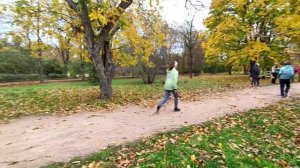 Финиш. Кубок Крыма по северной ходьбе, Симферополь, 4.11.24г. Дистанция 3 км. Мой результат - 7 мест