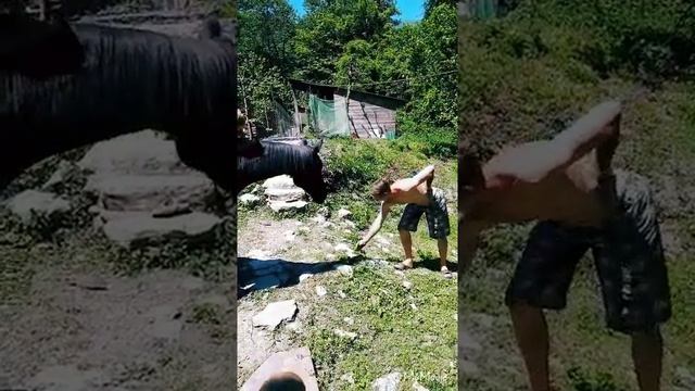 Счастливое детство