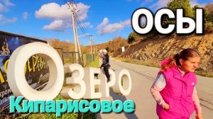 Черное море #Сукко. Кипарисовое озеро. Это просто шок! #Анапа 2024