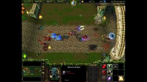 streamerwarcat SURVIVAL CHAOS castle fight  Warcraft 3 game Stream