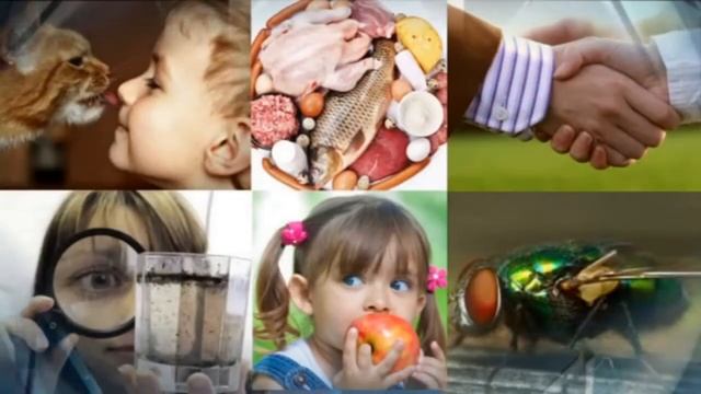 Паразиты это не только глисты смотреть онлайн