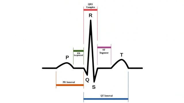 Medical School - Question & Answer Segments & Intervals