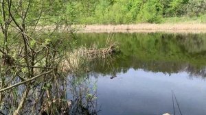Рыбалка на поплавок на заброшенном озере