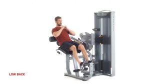 Matrix VERSA VS-S531 Скручивание/Разгибание спины