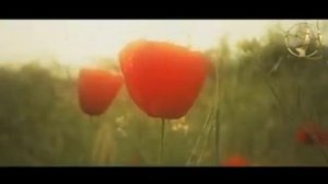 Билал Асад - удивительная история про пророка Айюба (мир ему)