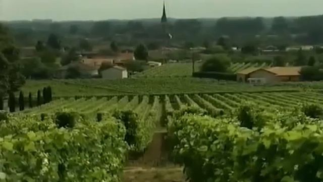 Общее дело смотреть онлайн