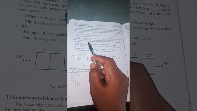 Binary number system.
