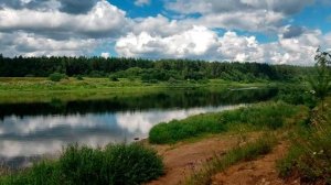 Тишина( Тишина пропахшая крапивой во дворе пели)))