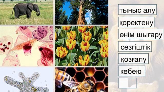 Тірі ағзалардың қасиеттері