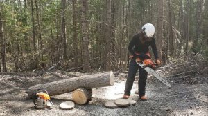 STIHL MS 261 C vs 028 AV SUPER