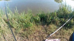 Рыбалка на карповом канале.