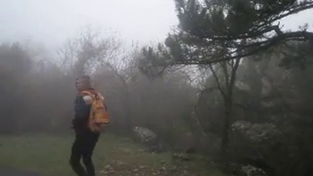 фильм про зомбаков