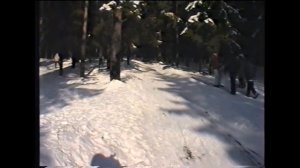 Снегири (Санки с лета приготовь...)