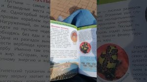 Обзор книжечки "Удивительные животные" Серия Энциклопедия для детского сада
