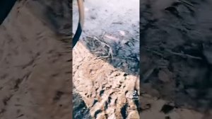 поставили 2х стороний цилиндр на Мтз . для заказов: +380 67 2840 265