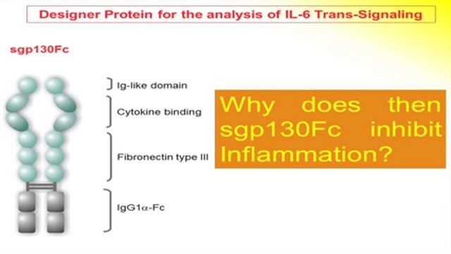 IL6 in Health and Disease смотреть онлайн