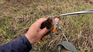 Мои приманки на Окуня. Проводка два оборота пауза. Ловля окуня.