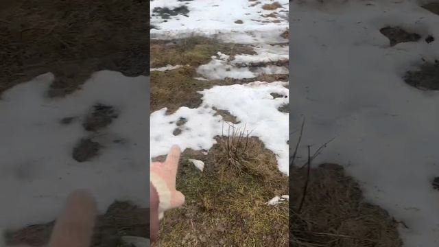 строительство дома