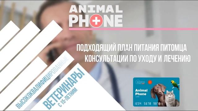 Ветеринар онлайн от ЕЮС Брокер