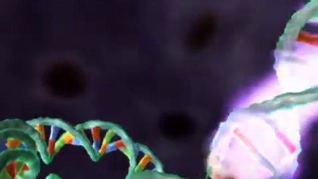 Medical Animation: Genome смотреть онлайн