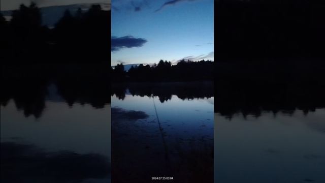 1000025462.mp4