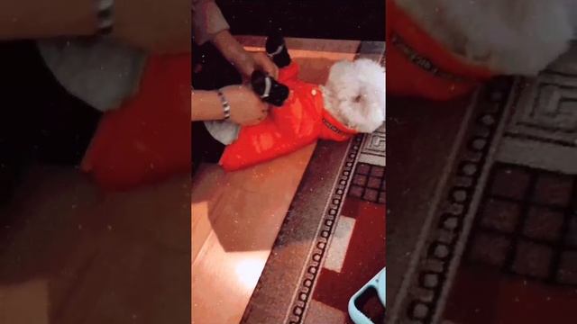 Утепляемся